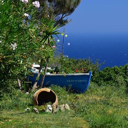 Panoramma Hause, Kampos Evdilou,Ikaria Apartamento Evdilos  Exterior foto